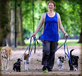 Paseaperros -   